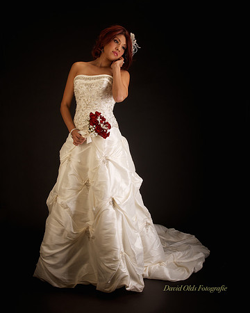 wedding Dress texas